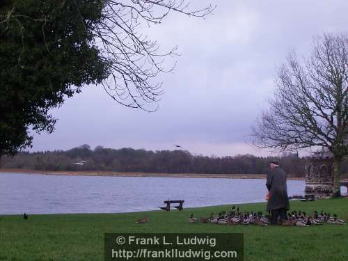 Lough Key Forest Park